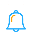 IT service